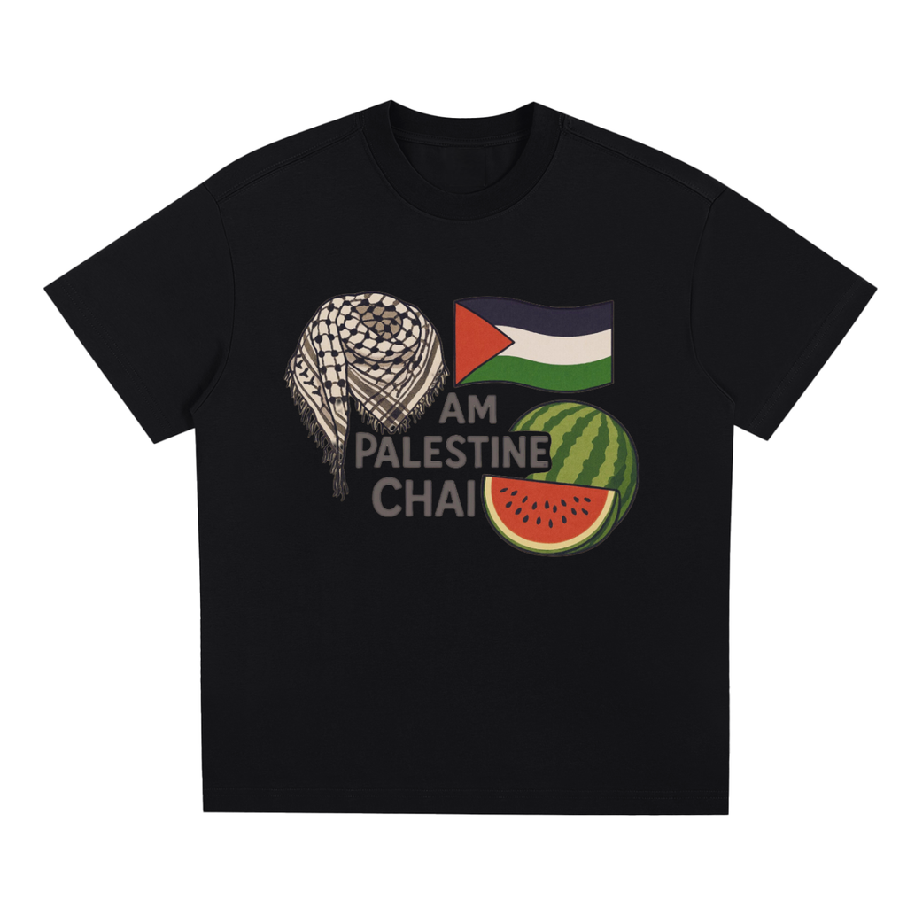 Am Palestine Chai Quick-Dry Cooling T-Shirt