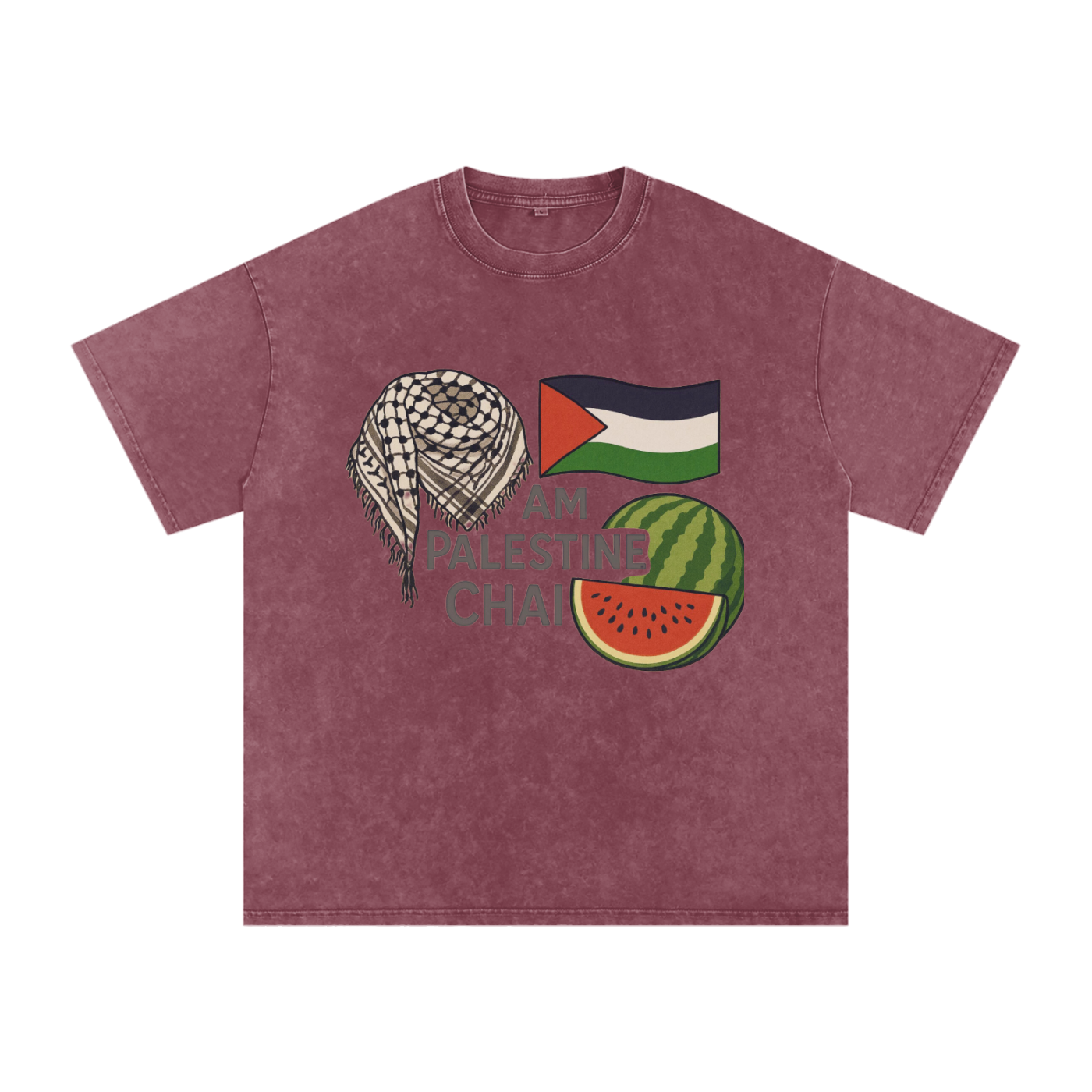 Am Palestine Chai Snow Washed Oversized T-Shirt