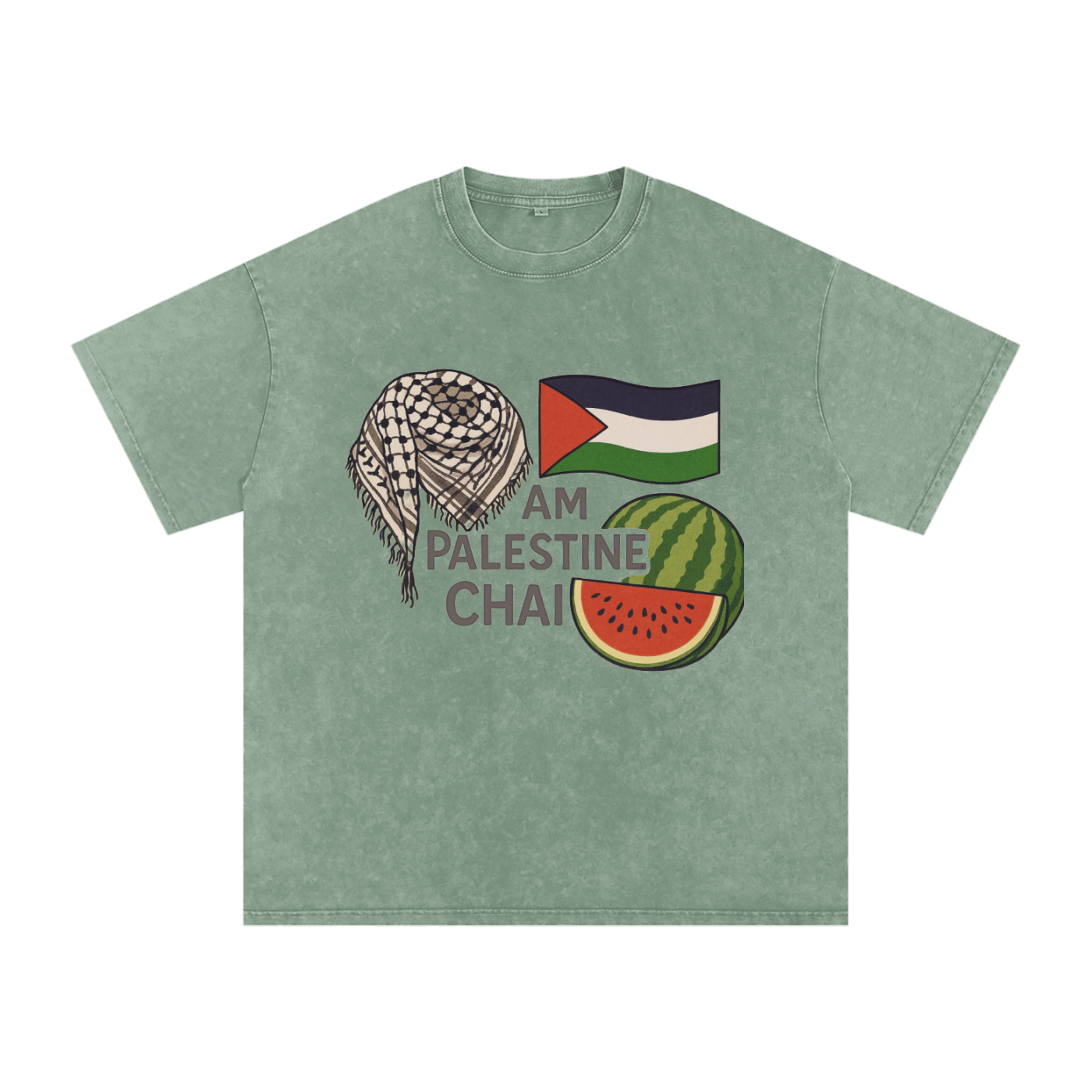 Am Palestine Chai Snow Washed Oversized T-Shirt