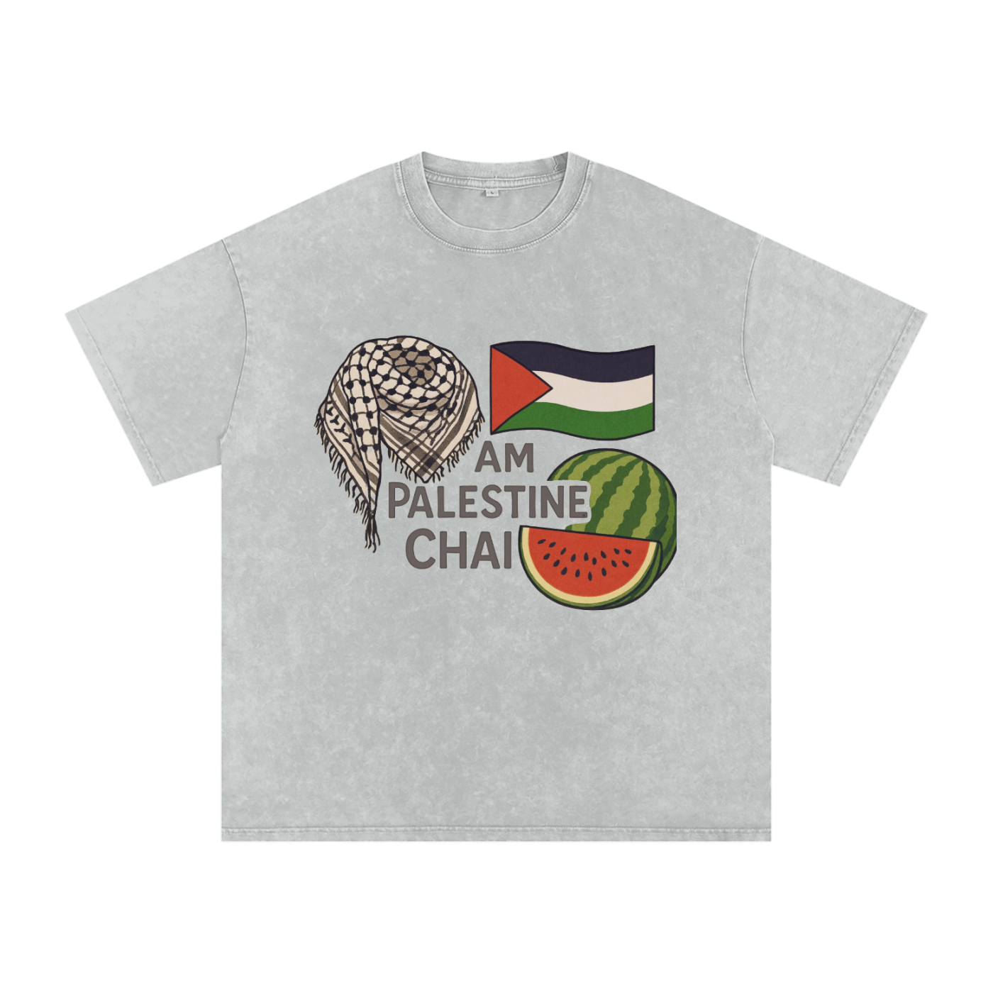 Am Palestine Chai Snow Washed Oversized T-Shirt