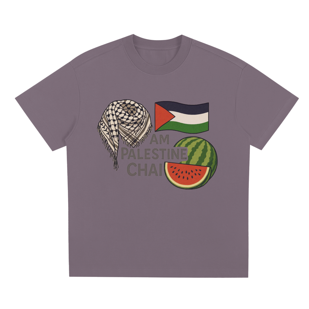 Am Palestine Chai Quick-Dry Cooling T-Shirt