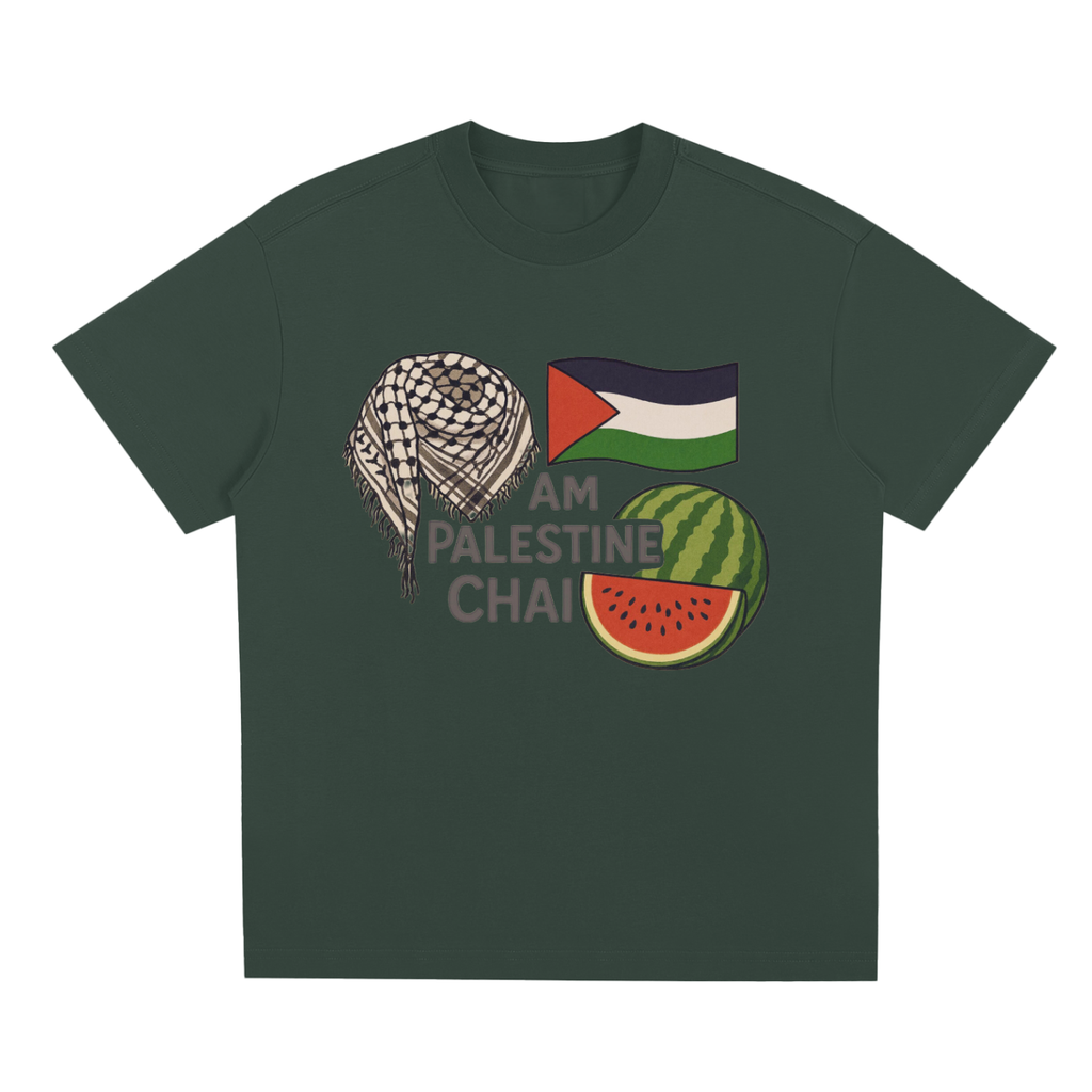Am Palestine Chai Quick-Dry Cooling T-Shirt