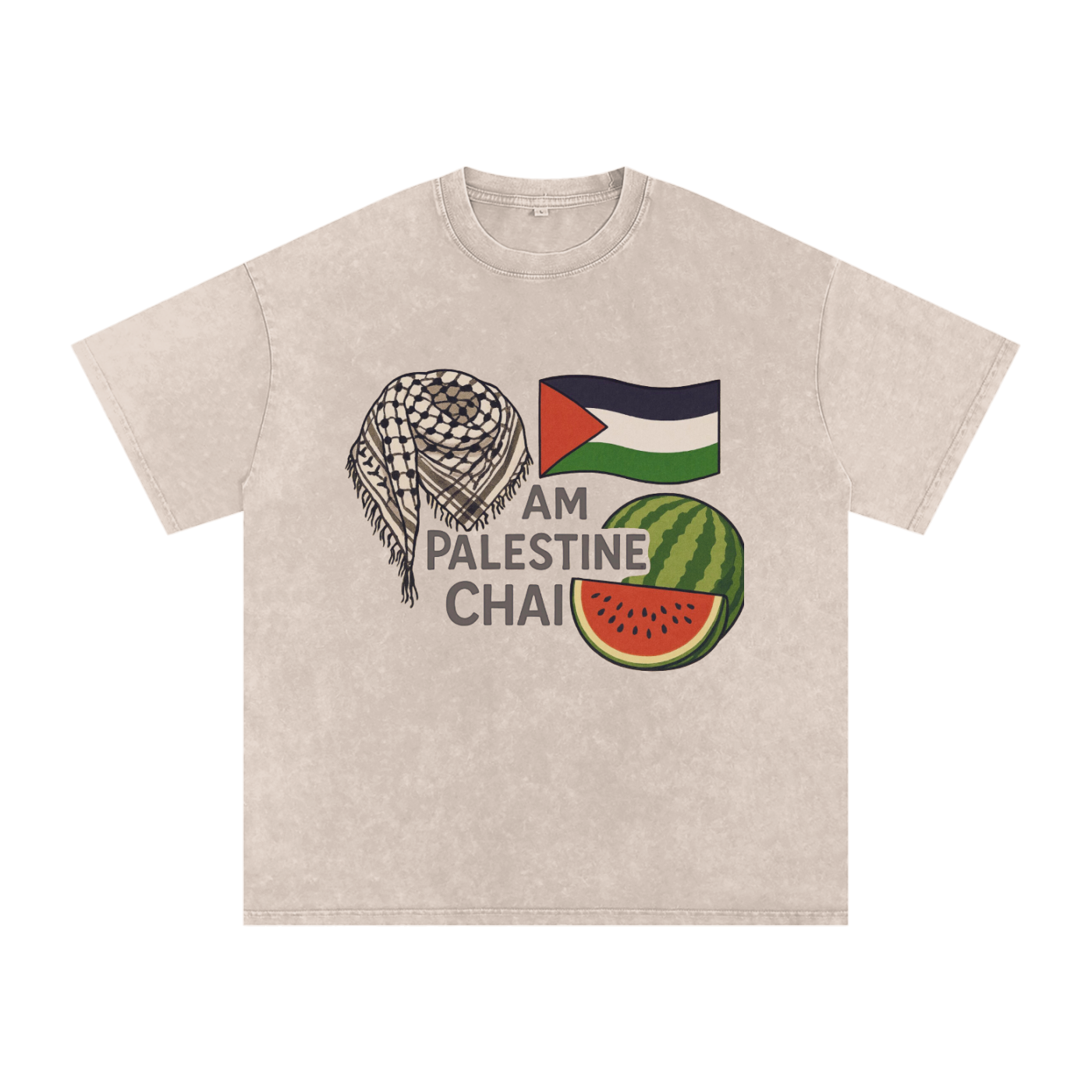 Am Palestine Chai Snow Washed Oversized T-Shirt