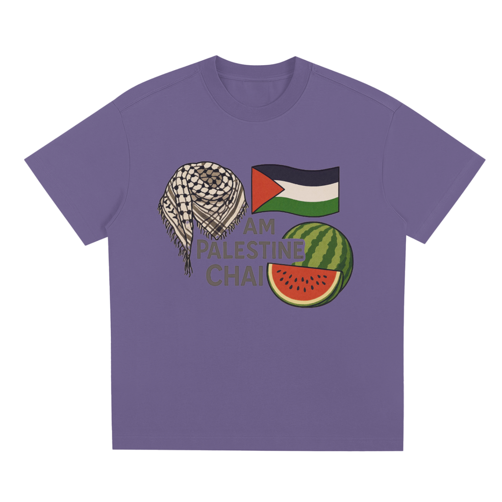 Am Palestine Chai Quick-Dry Cooling T-Shirt
