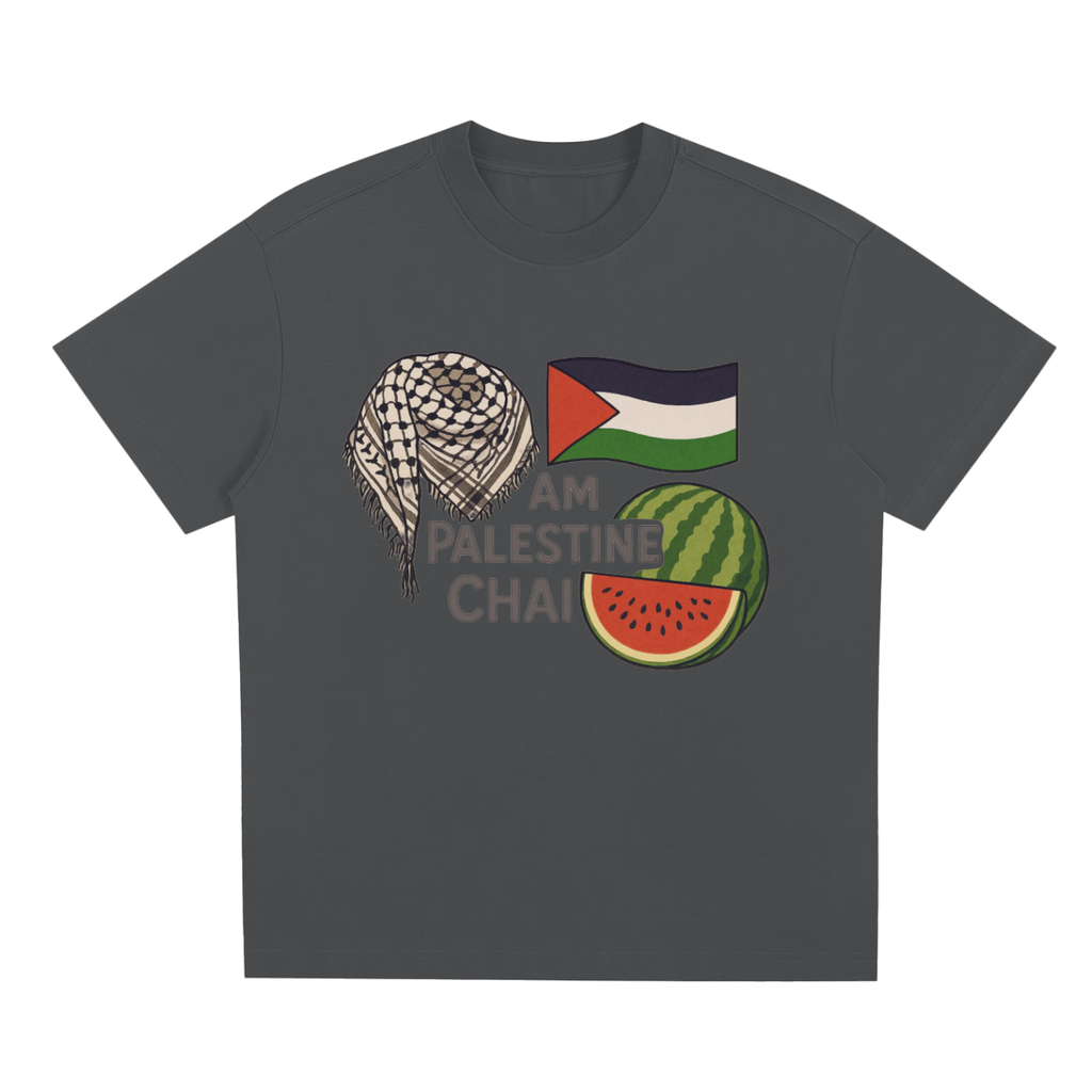 Am Palestine Chai Quick-Dry Cooling T-Shirt